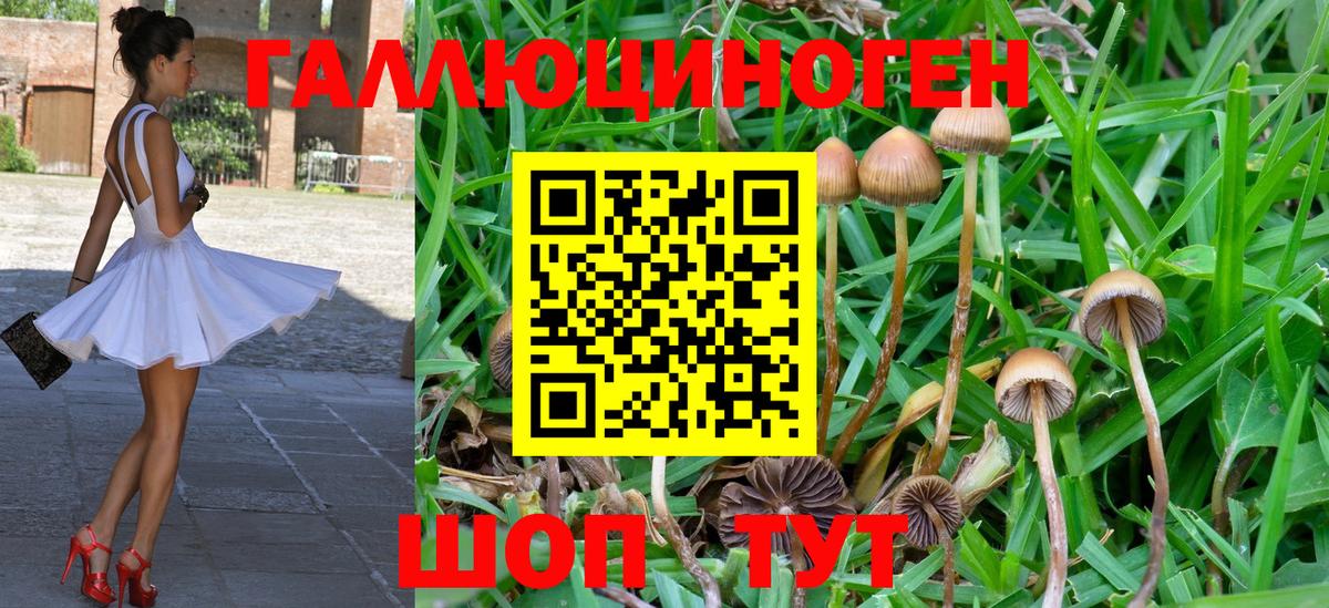 Псилоцибиновые грибы GOLDEN TEACHER Тобольск