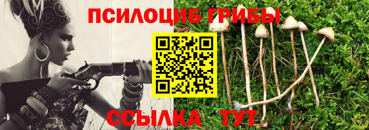 Тобольск  Галлюциногенные грибы Psilocybine cubensis  Вход с VPN 